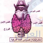 الغدة الدرقية